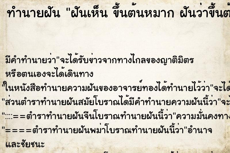 ทำนายฝันทำนายฝันฝันเห็นขึ้นต้นหมากฝันว่าขึ้นต้นหมาก